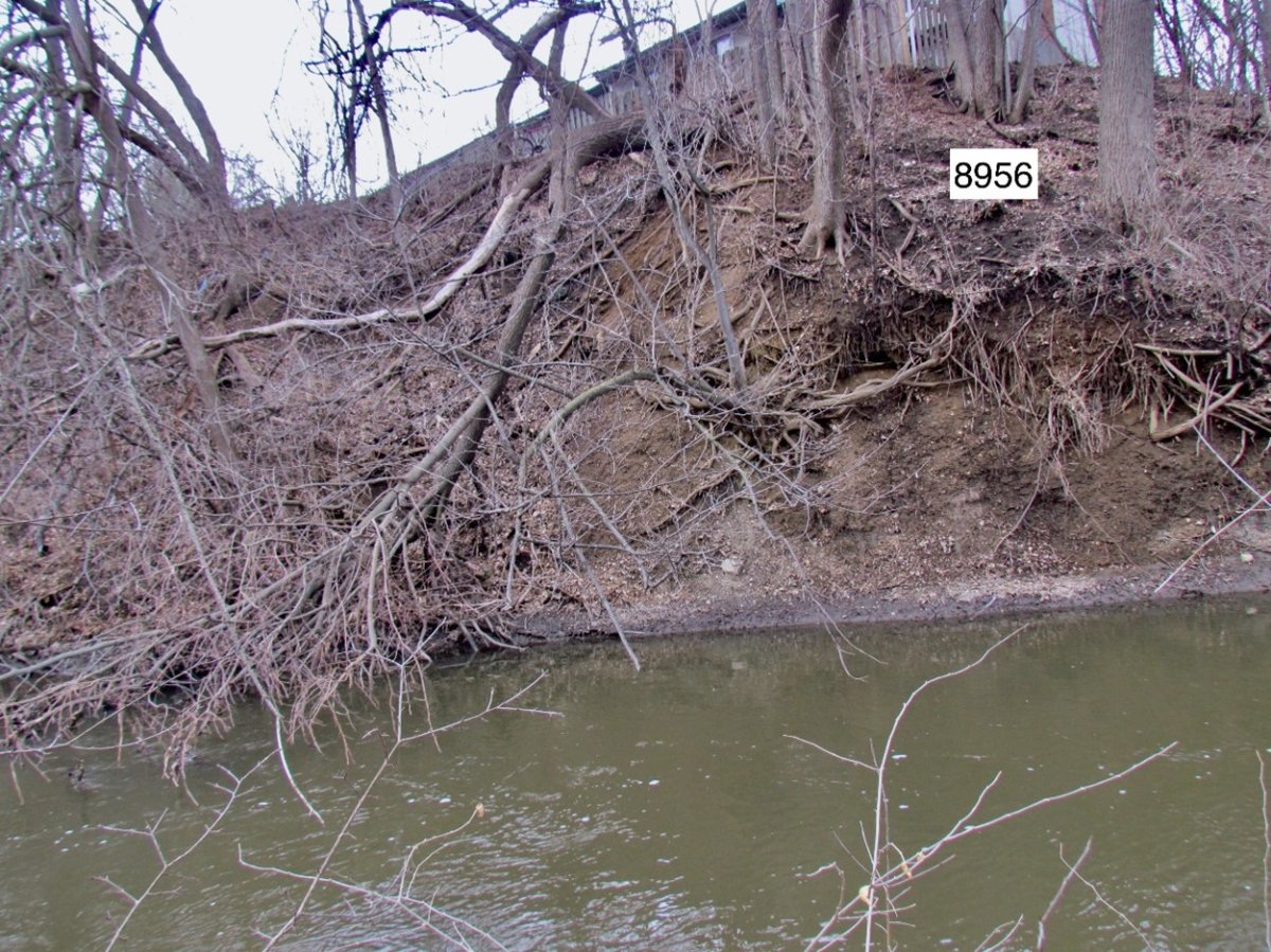 Tyler Creek — FREP - Fox River Ecosystem Partnership